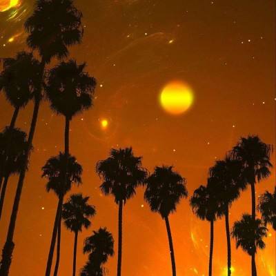 安博.体育app下载