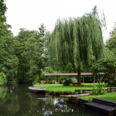 米乐网手机app下载