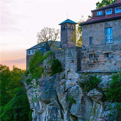 246天天好彩app下载